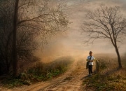 Chemin et brume