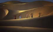 Dunes et filets