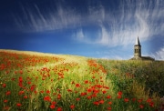 Eglise et coquelicots