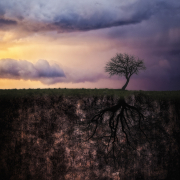 Di-Tommaso-Invisible-world Di-Tommaso-Invisible-world