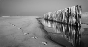 19 _ Mar+®e basse 19 _ Mar+®e basse