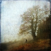 7 _ Sous l'arbre