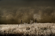 09_Matin blanc