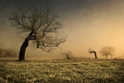11_Le v+®n+®rable 11_Le v+®n+®rable