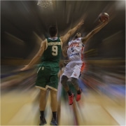 Basket-9-5 Basket-9-5