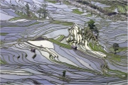 Rizieres-du-Yunnan-N°4 Rizieres-du-Yunnan-N°4