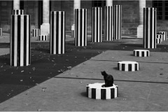 Le-chat-de-Buren