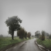 13 - La route triste 13 - La route triste