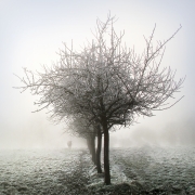 2 - Perdue dans la brume