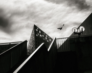 16_Lignes-brisees 16_Lignes-brisees