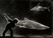 20_Lenfant-et-les-requins 20_Lenfant-et-les-requins