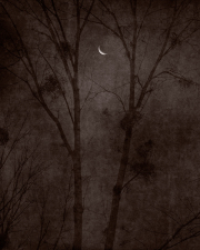 25_Dernier-quartier 25_Dernier-quartier