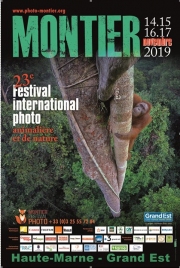 Montier_2019