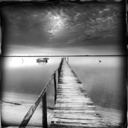 medaille-paysage-2010