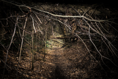 19-Jean_Luc_Coudun