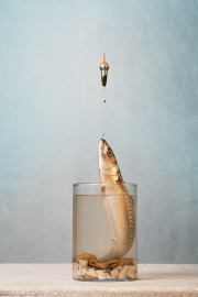 04_a-la-peche-pour-le-nuls