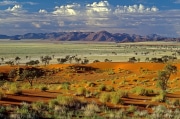 Au coeur du desert du namib, un peu d'eau suffit a faire émerger des herbes et créer un tapis vert qui se mélange au sable organe des dunes