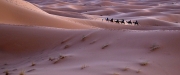 La caravane