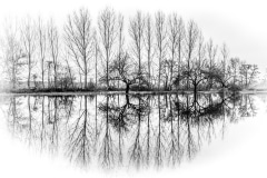 11-Cédric_Geyer_Réflexion