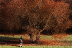 2-Véronique_Xantopoulos_L'enfant_et_l'automne