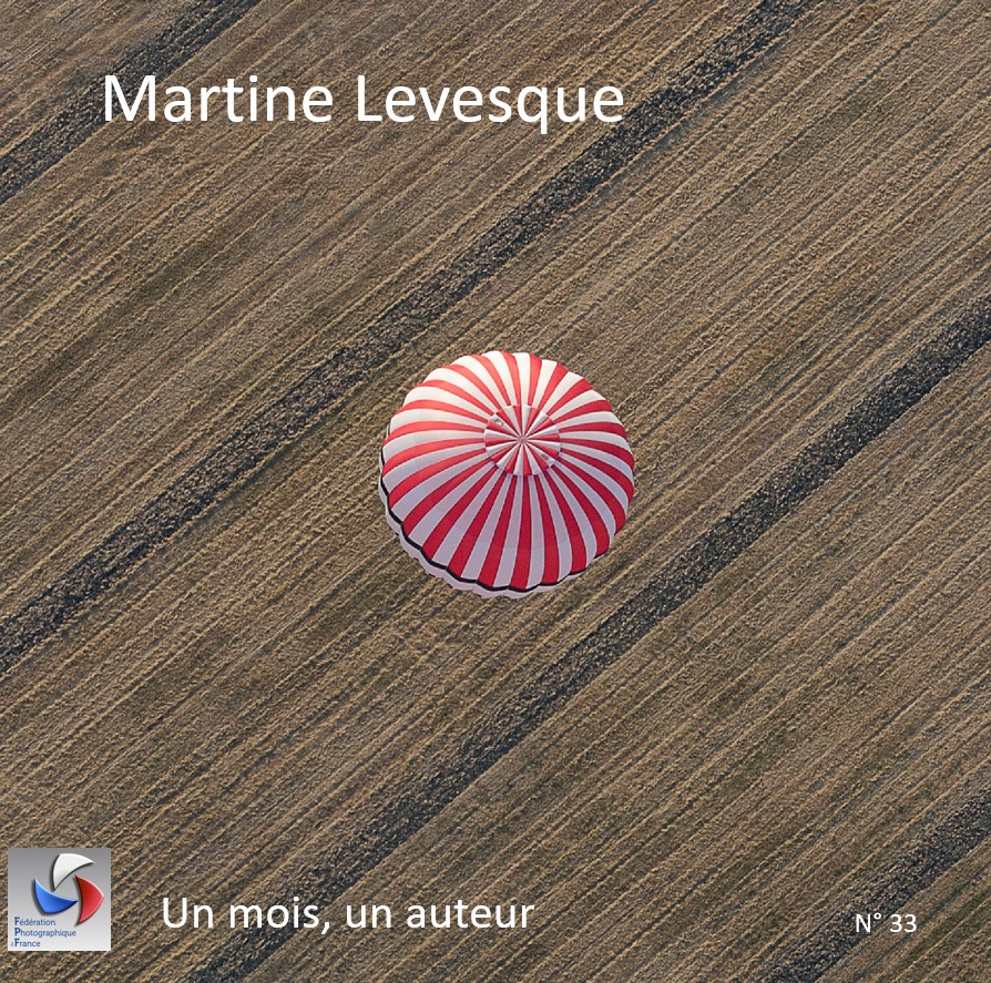 Martine-Levesque.jpg.jpg