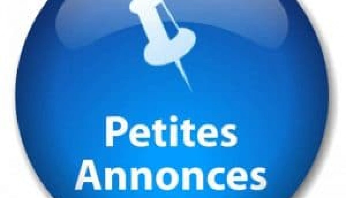petites-annonces