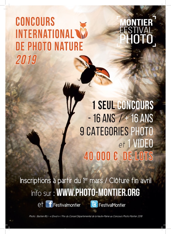 MONTIER_FPF_insertion_concours_2019 MONTIER_FPF_insertion_concours_2019