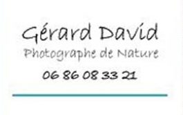 GerardDavid2