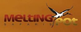 logo logo