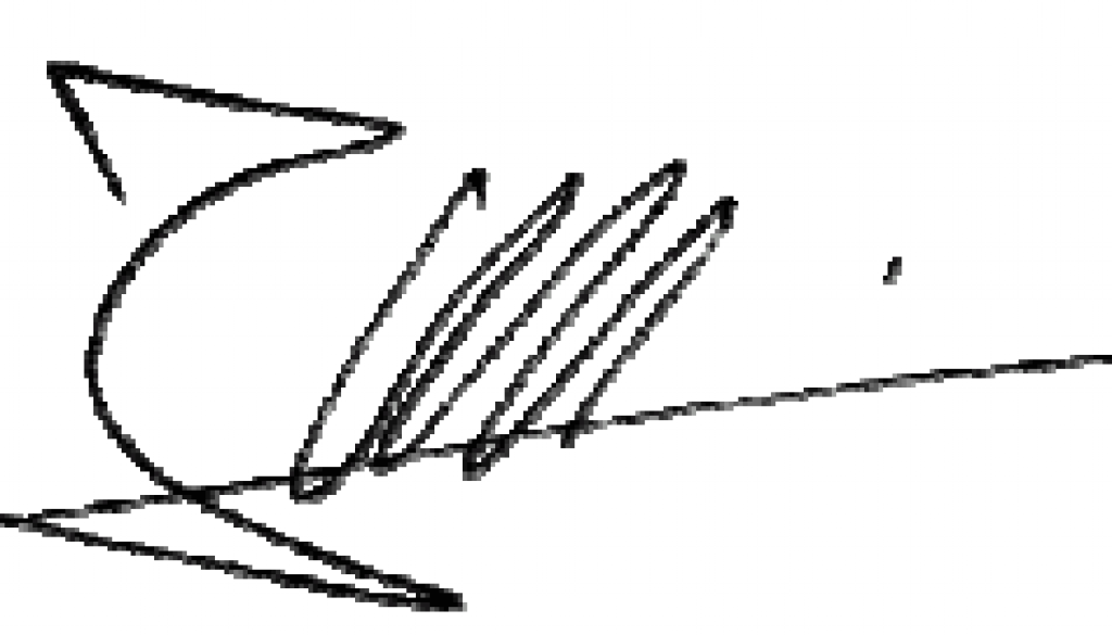 JS_Signature