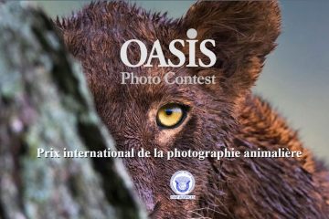 OASIS Photo-Contest 15éme édition