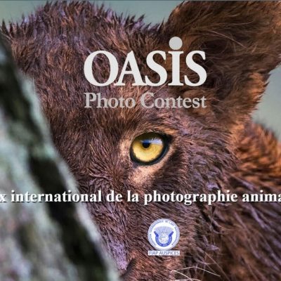 OASIS Photo-Contest 15éme édition