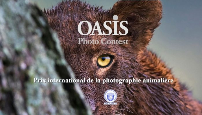 OASIS Photo-Contest 15éme édition