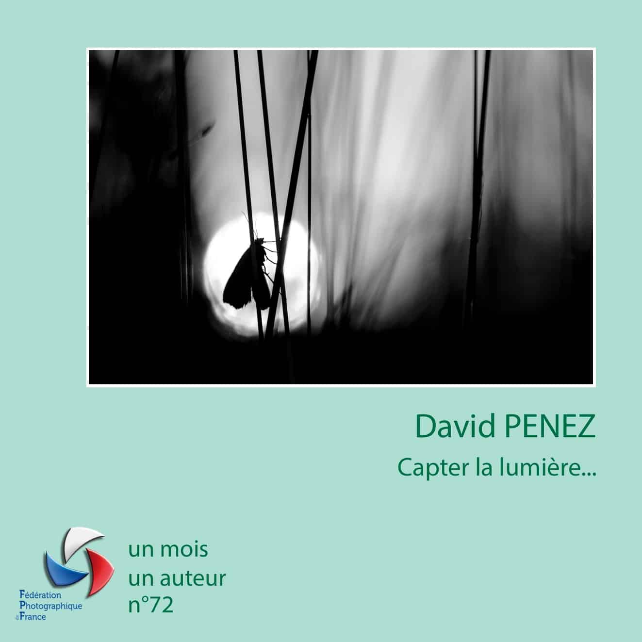 2307 DAVID PENEZ_Page_01