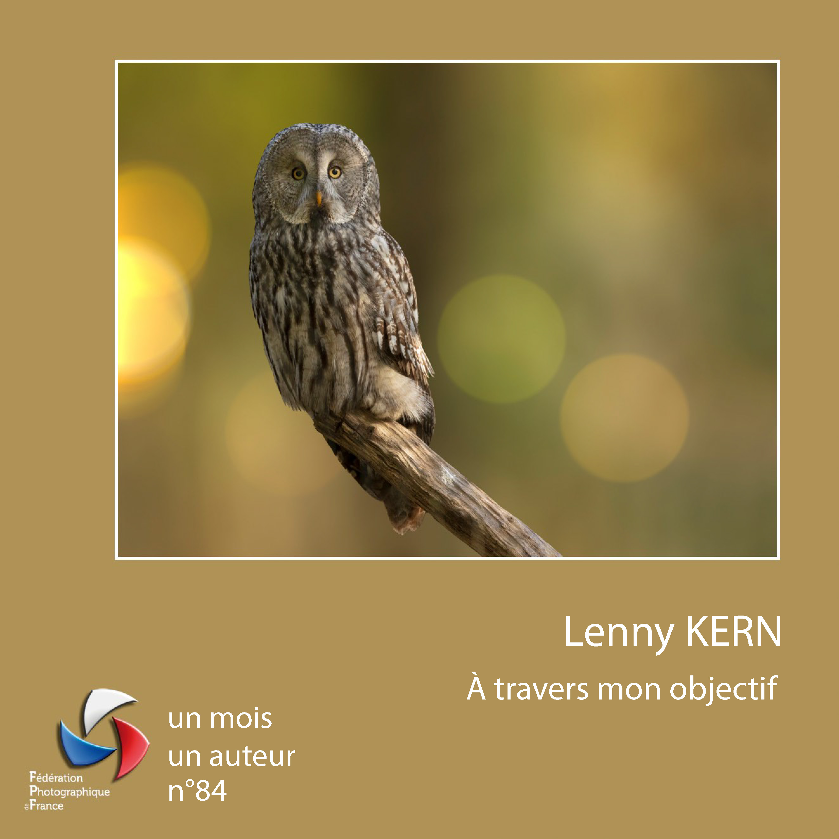 2407 LENNY KERN_Page_01