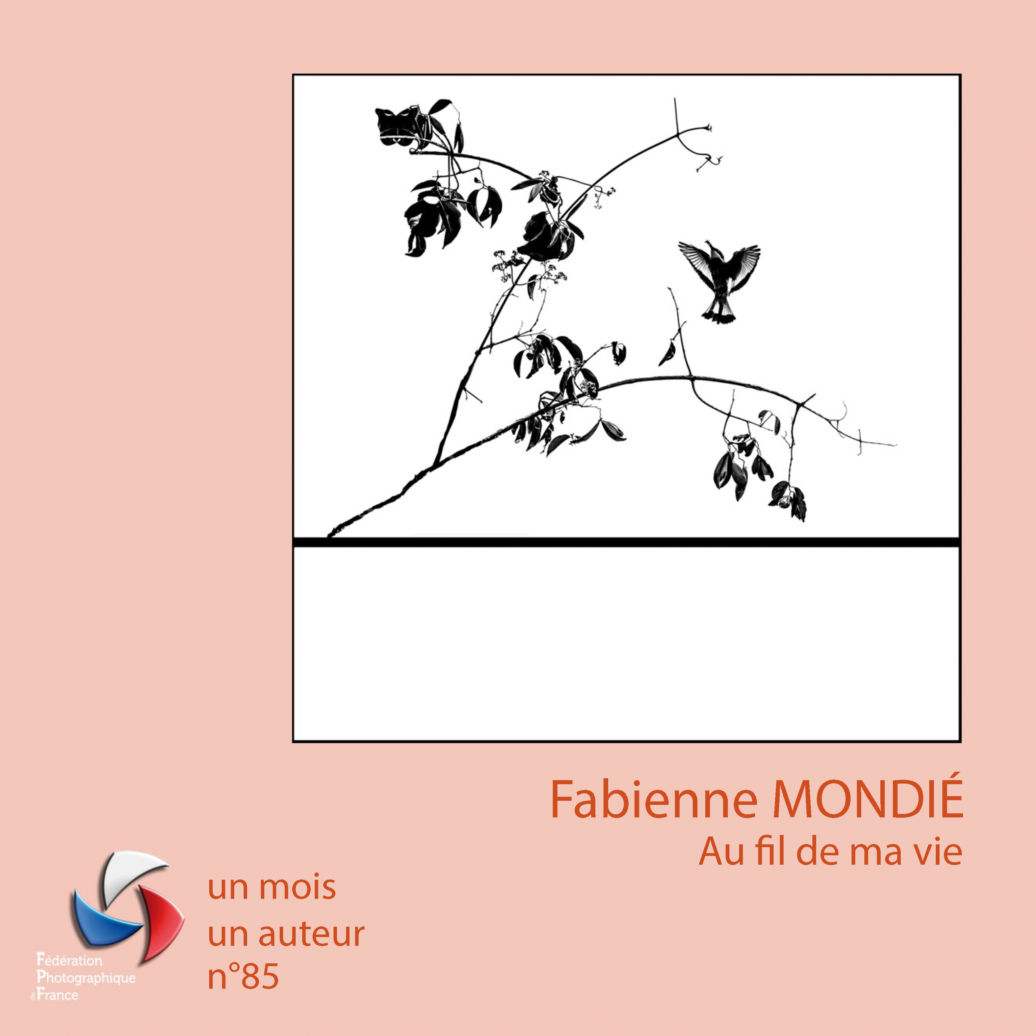 1M1A - Fabienne Mondié