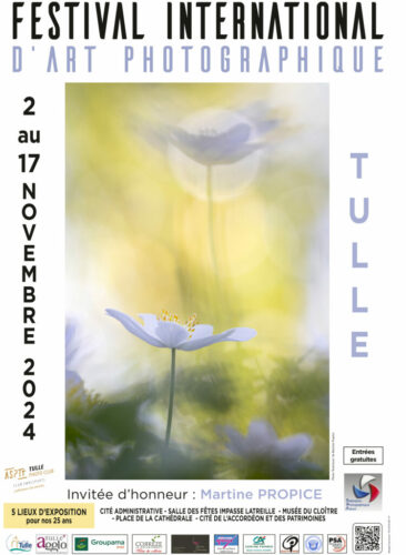 Tulle_2024