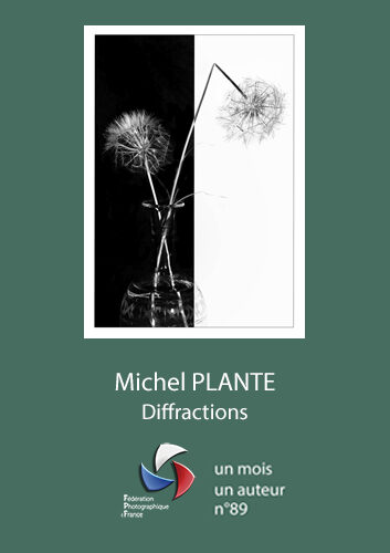 Michel Plante