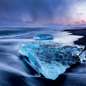 N-020 - Sept Auteurs Nature - 2020