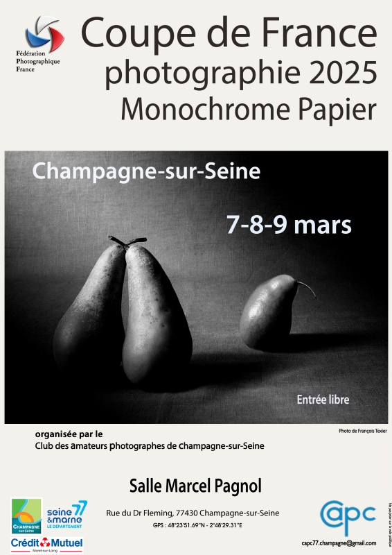 Coupe de France Papier Monochrome