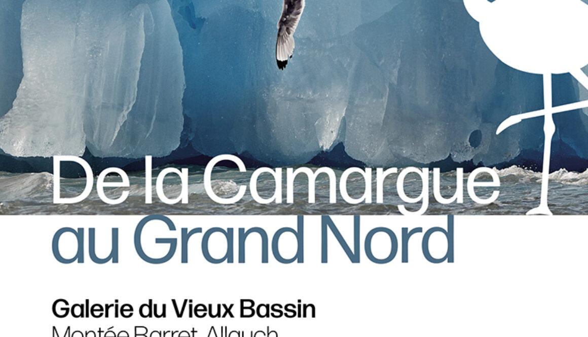 affiche-vezon