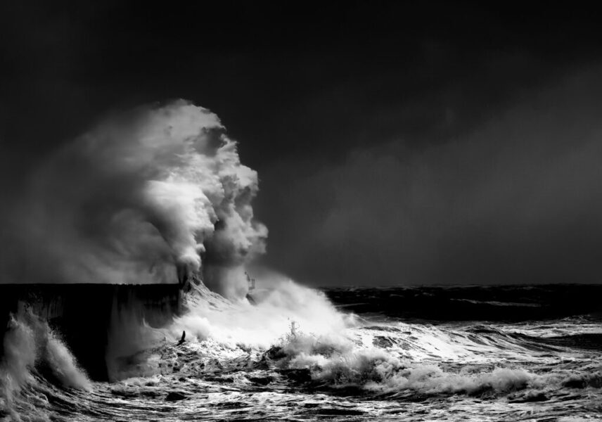 National 1 IP Monochrome - LE MOUEL Martine - Vague de terreur - 2ème place