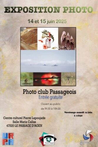 affiche-expo-club-web-6841aaef2c7fa_medium