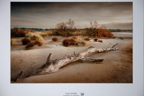 01-Automne en Camargue - Yvan Laussel