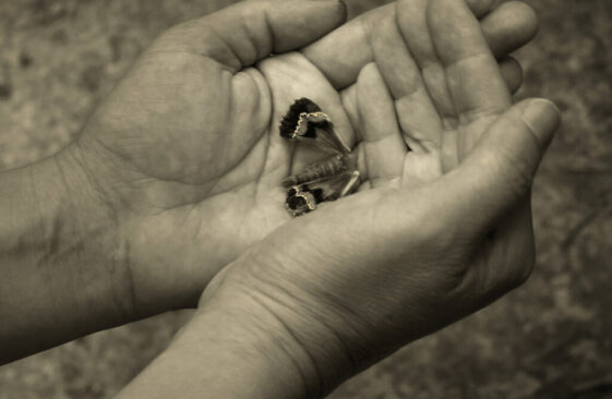 les Murmures de l'âme_06