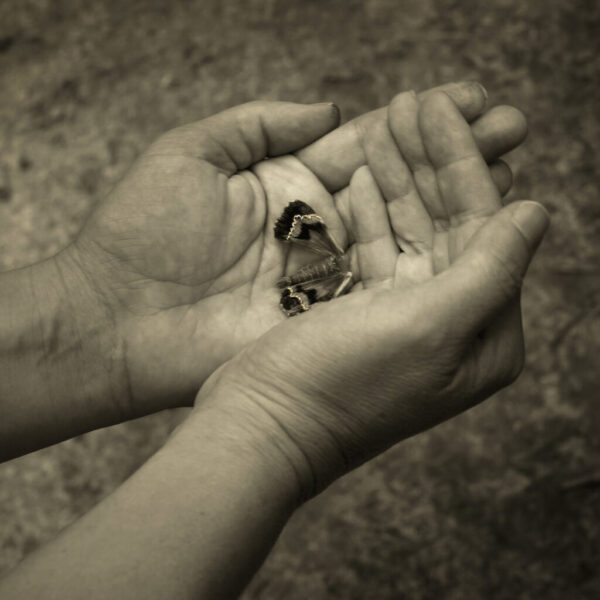 61 - GPC 2025 - Les murmures de l'âme - Marie Sueur