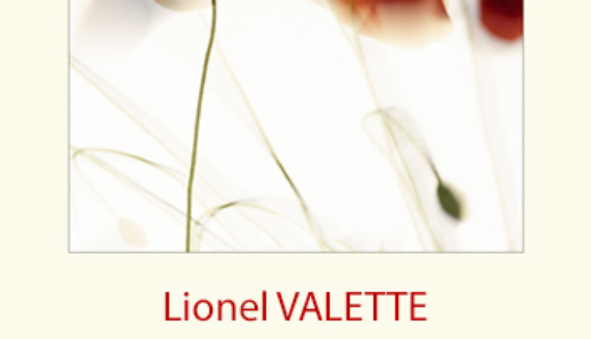 2507 OM VIGNETTE APL (1)