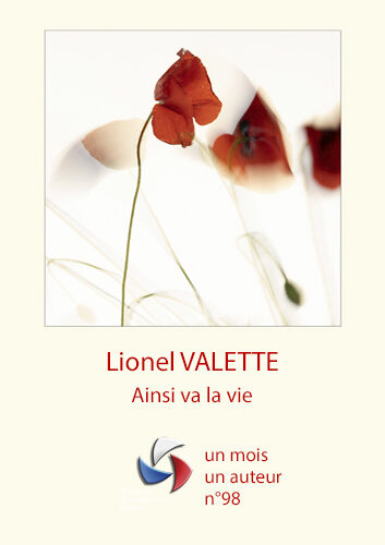 2507 OM VIGNETTE APL (1)