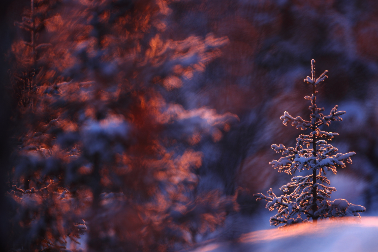 Finlande-hiver-HOR Finlande-hiver-HOR