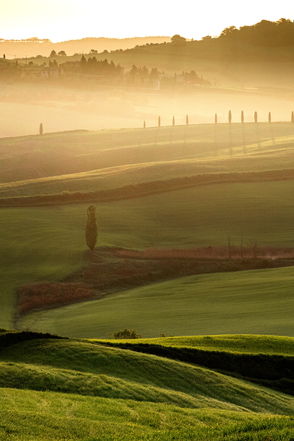 Italie-Toscane-VERTI Italie-Toscane-VERTI